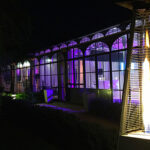 Location de parasol chauffant à flamme 12 kW