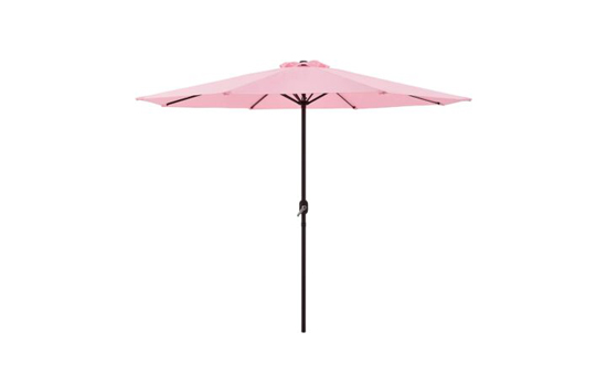 parasol rose