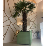 Location de cache-pot vert en bois GM